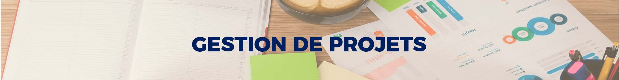 gestion de projets